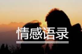 四会婚外情调查取证：涉外离婚案件中需提交的材料